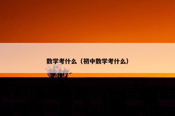 数学考什么（初中数学考什么）