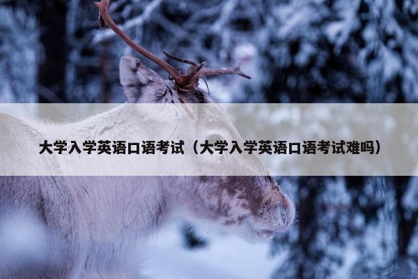大学入学英语口语考试（大学入学英语口语考试难吗）