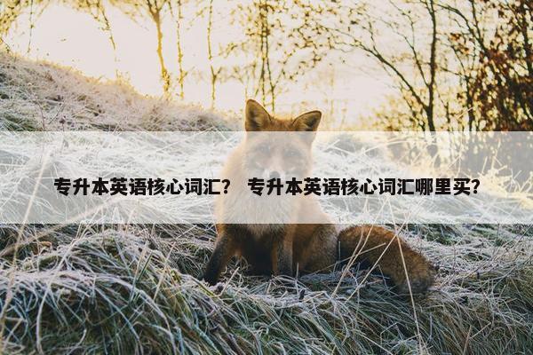专升本英语核心词汇？ 专升本英语核心词汇哪里买？