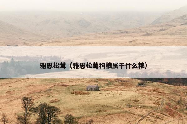 雅思松茸（雅思松茸狗粮属于什么粮）