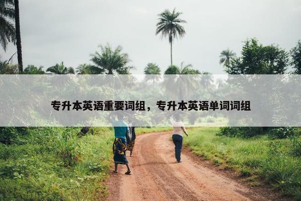 专升本英语重要词组，专升本英语单词词组