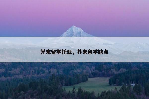 芥末留学托业，芥末留学缺点