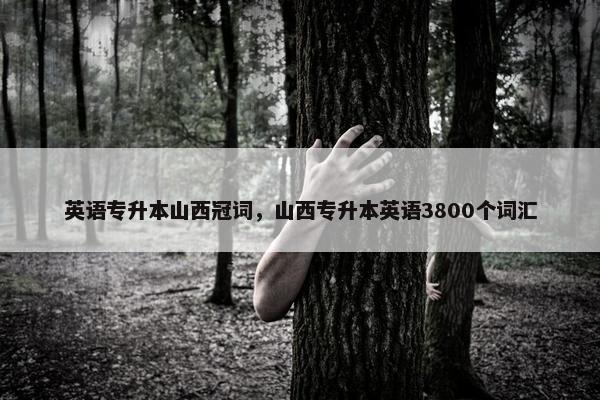 英语专升本山西冠词，山西专升本英语3800个词汇