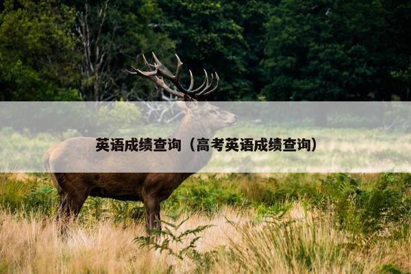 英语成绩查询（高考英语成绩查询）