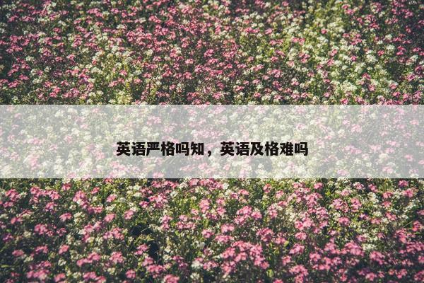 英语严格吗知，英语及格难吗