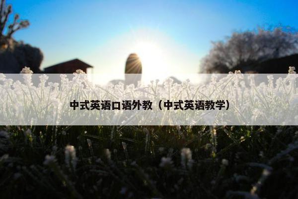 中式英语口语外教（中式英语教学）