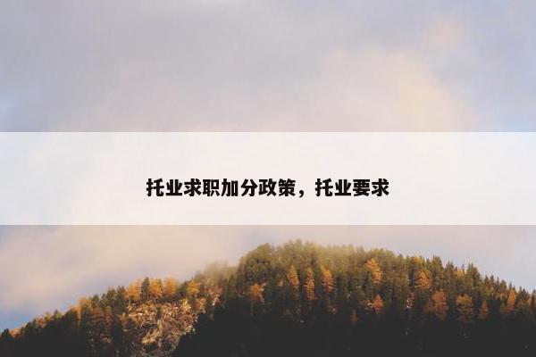 托业求职加分政策，托业要求