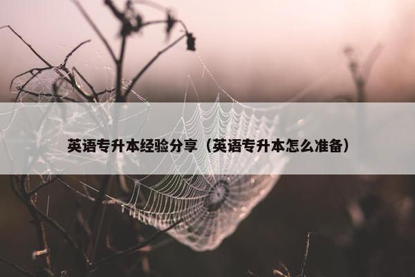 英语专升本经验分享（英语专升本怎么准备）