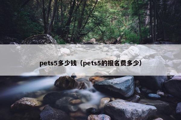 pets5多少钱（pets5的报名费多少）
