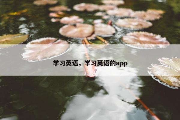 学习英语，学习英语的app