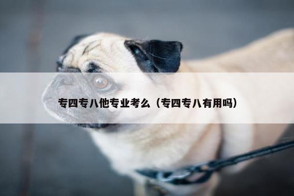 专四专八他专业考么（专四专八有用吗）