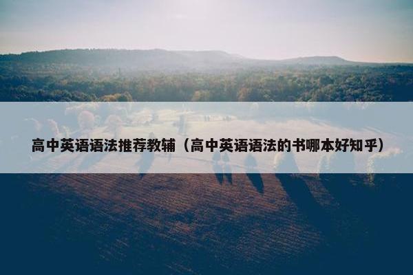 高中英语语法推荐教辅（高中英语语法的书哪本好知乎）