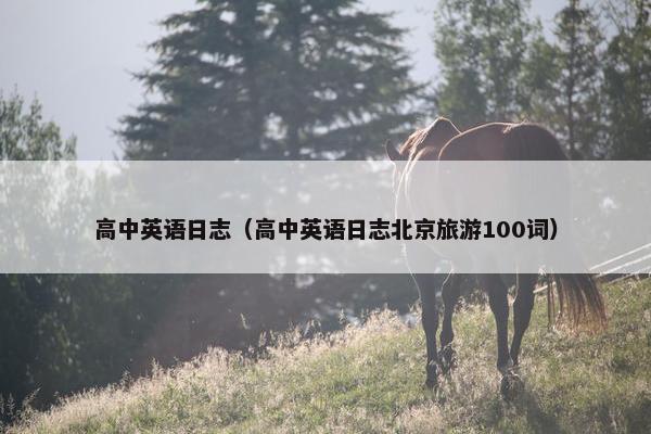 高中英语日志（高中英语日志北京旅游100词）