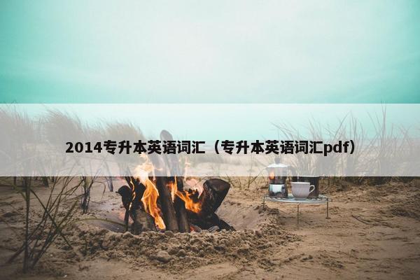 2014专升本英语词汇（专升本英语词汇pdf）