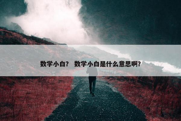 数学小白？ 数学小白是什么意思啊？