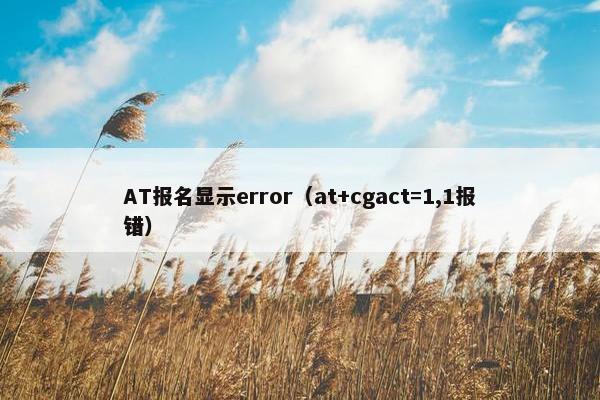 AT报名显示error（at+cgact=1,1报错）