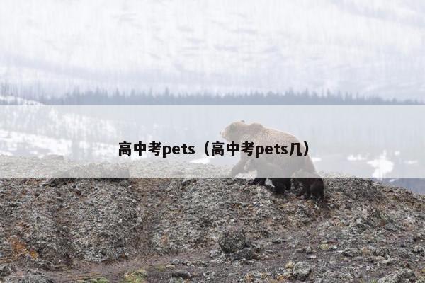 高中考pets（高中考pets几）