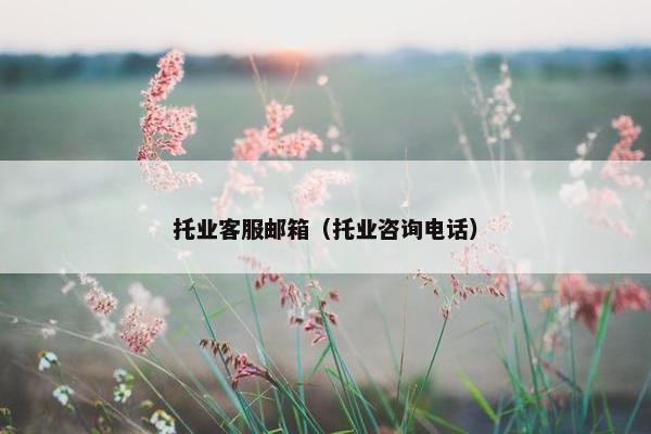托业客服邮箱（托业咨询电话）