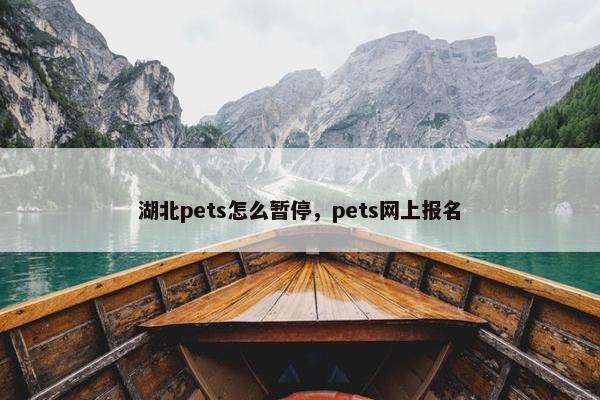 湖北pets怎么暂停，pets网上报名