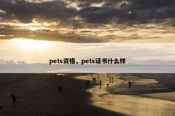 pets资格，pets证书什么样