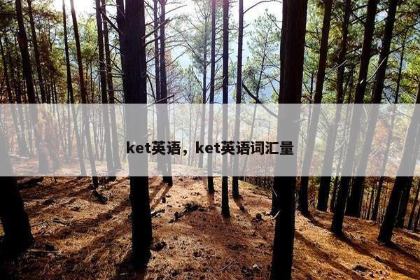 ket英语，ket英语词汇量