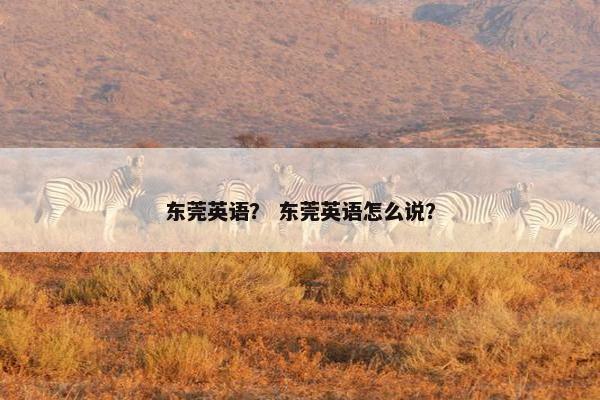 东莞英语？ 东莞英语怎么说？