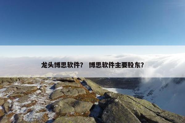 龙头博思软件？ 博思软件主要股东？
