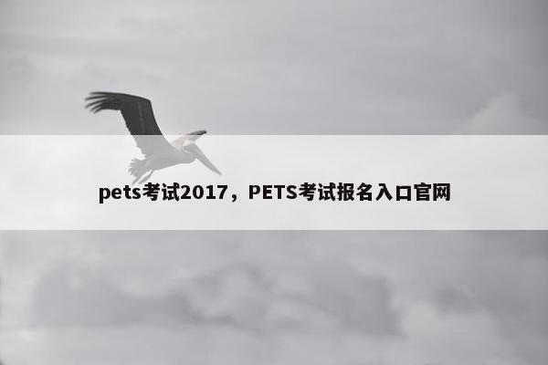 pets考试2017，PETS考试报名入口官网
