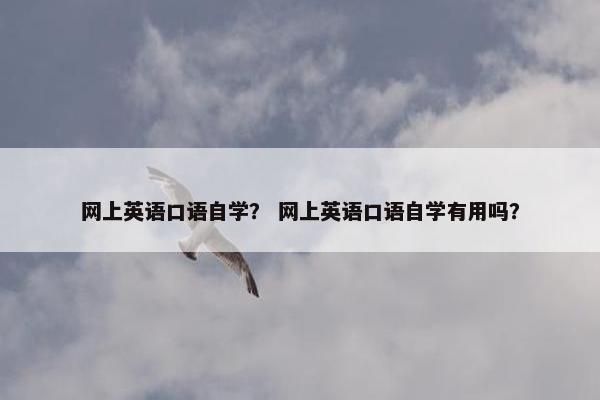 网上英语口语自学？ 网上英语口语自学有用吗？
