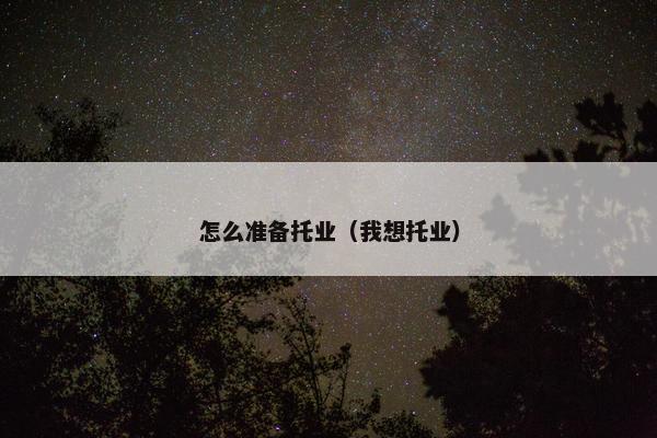 怎么准备托业（我想托业）