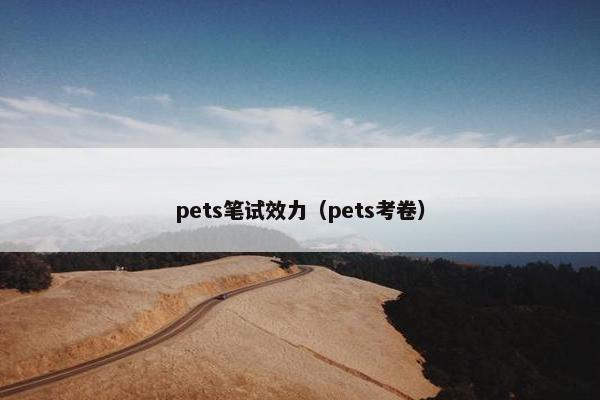 pets笔试效力（pets考卷）