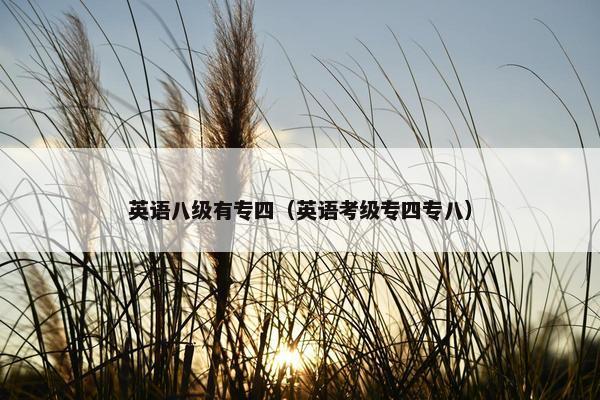英语八级有专四（英语考级专四专八）