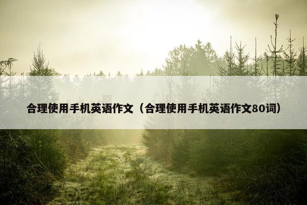 合理使用手机英语作文（合理使用手机英语作文80词）