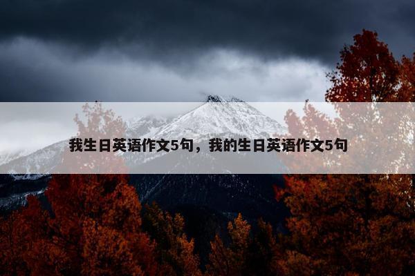 我生日英语作文5句，我的生日英语作文5句