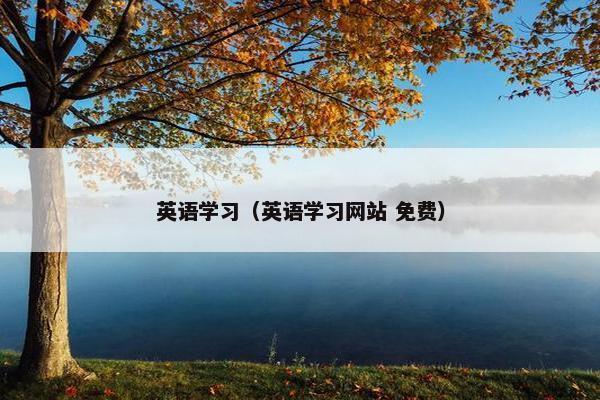 英语学习（英语学习网站 免费）