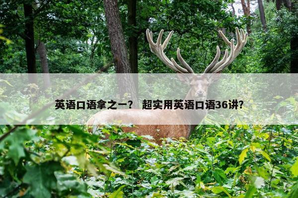 英语口语拿之一？ 超实用英语口语36讲？