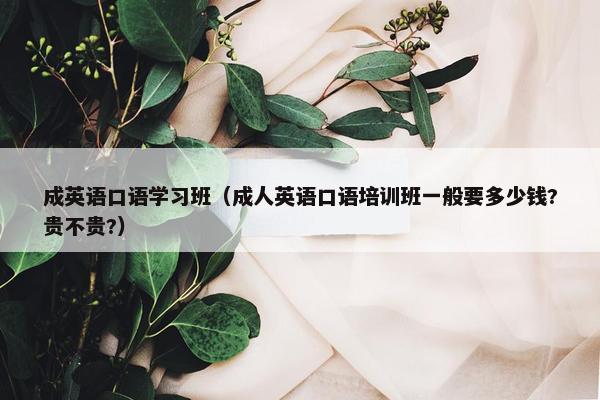 成英语口语学习班（成人英语口语培训班一般要多少钱?贵不贵?）