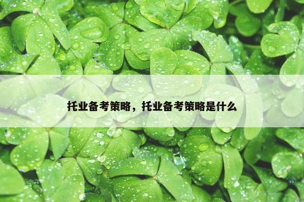 托业备考策略，托业备考策略是什么