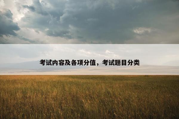 考试内容及各项分值，考试题目分类