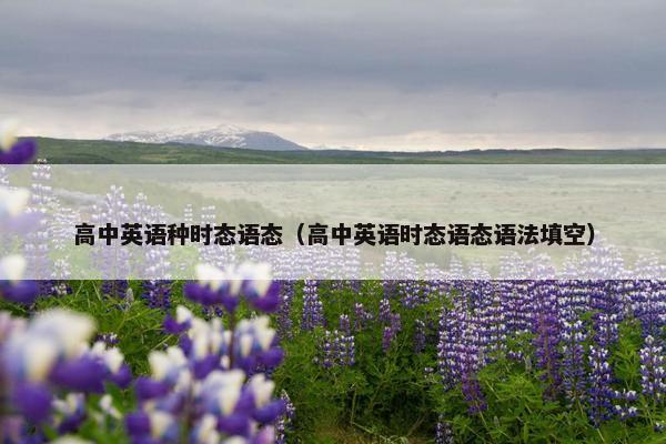 高中英语种时态语态（高中英语时态语态语法填空）