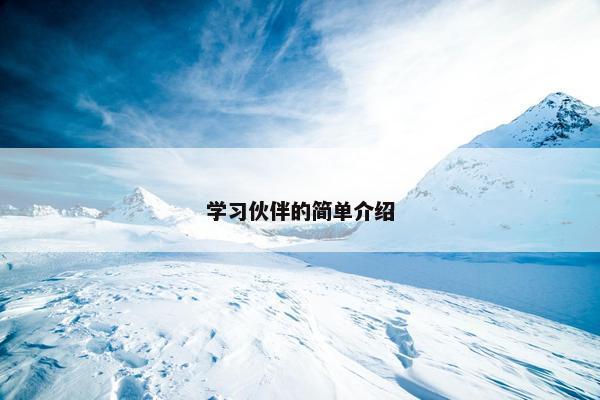 学习伙伴的简单介绍