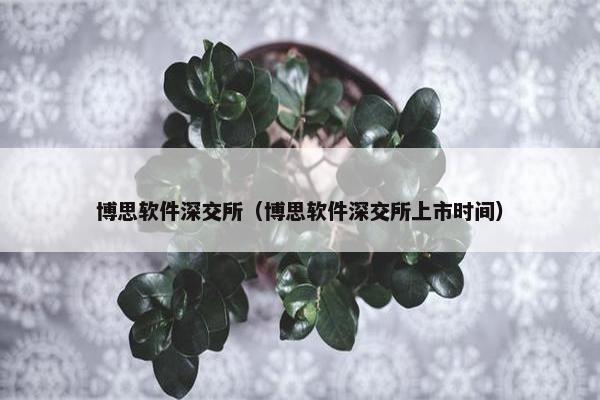 博思软件深交所（博思软件深交所上市时间）