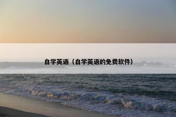 自学英语（自学英语的免费软件）