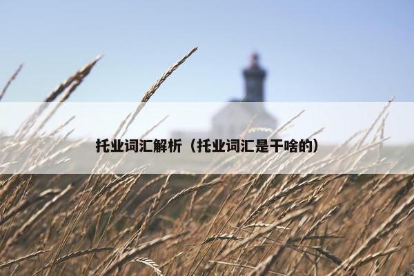 托业词汇解析（托业词汇是干啥的）