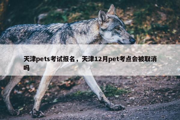天津pets考试报名，天津12月pet考点会被取消吗