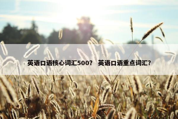 英语口语核心词汇500？ 英语口语重点词汇？