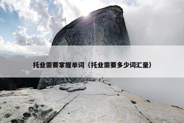 托业需要掌握单词（托业需要多少词汇量）