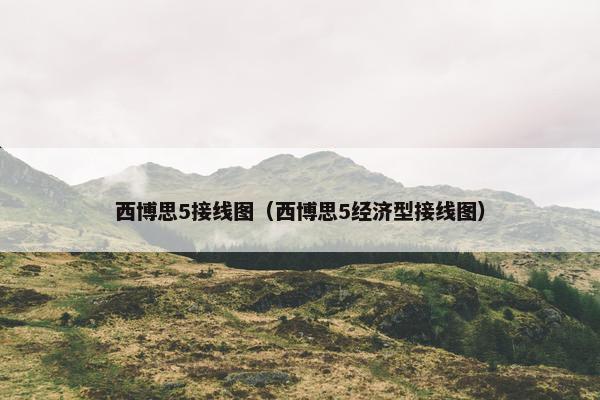 西博思5接线图（西博思5经济型接线图）