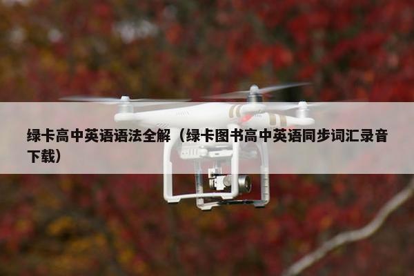 绿卡高中英语语法全解（绿卡图书高中英语同步词汇录音下载）
