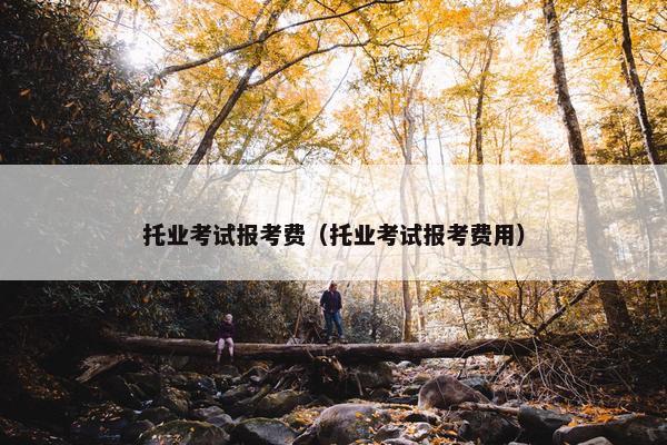 托业考试报考费（托业考试报考费用）
